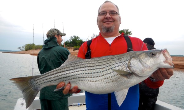 Charlie-Haak-14.7lb-Lake-Texoma-Striper2-600x360