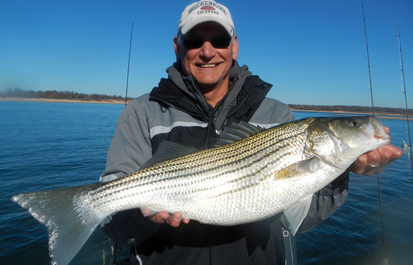 Texoma Striper Fishing Stays STRONG - Lake Texoma AssociationLake